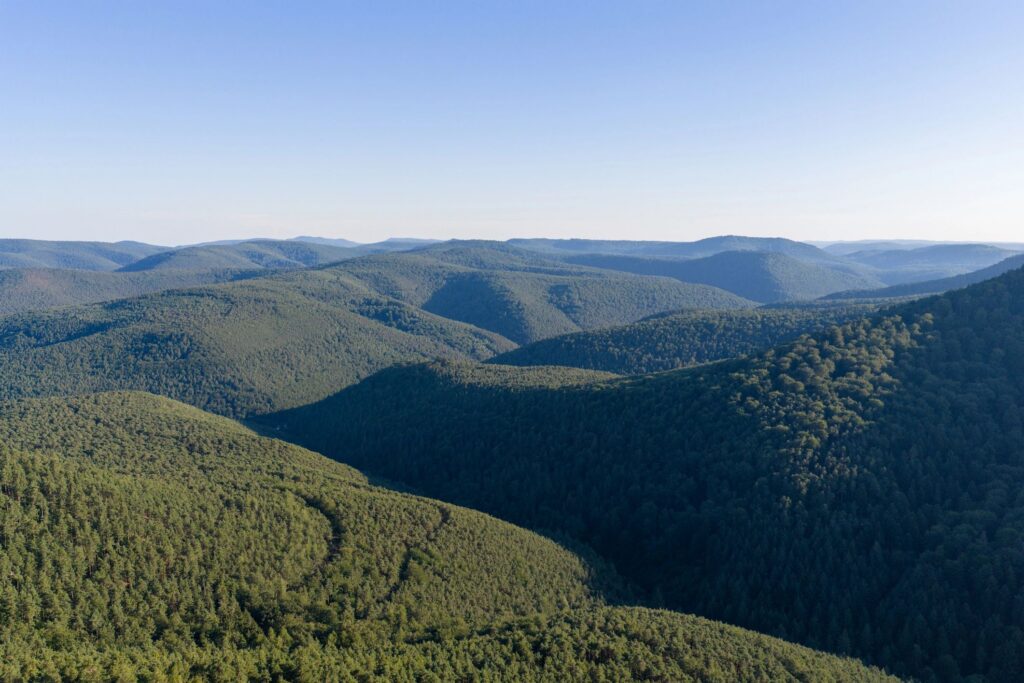 Aerial View of Lush Green Mountain Forests and Rolling Hills Under Clear Blue Sky